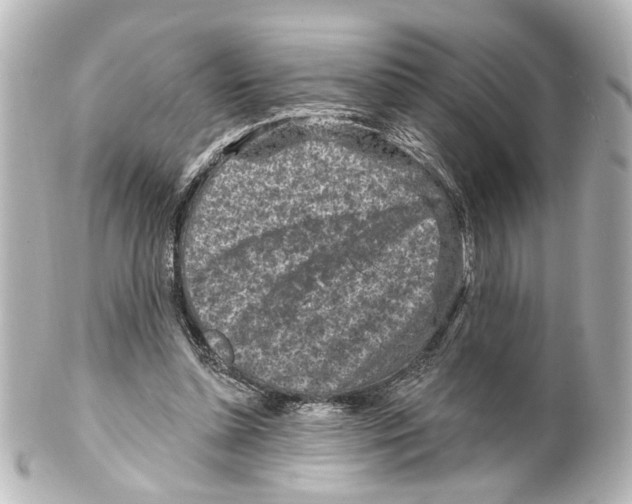 X0000100210348200806271709