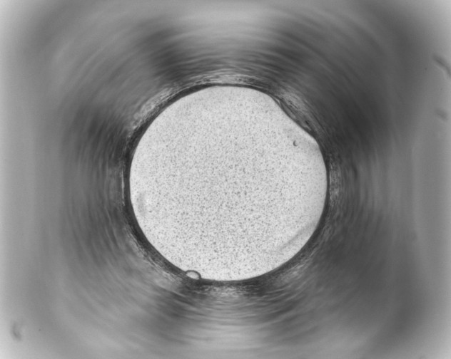 X0000100210349200806271709