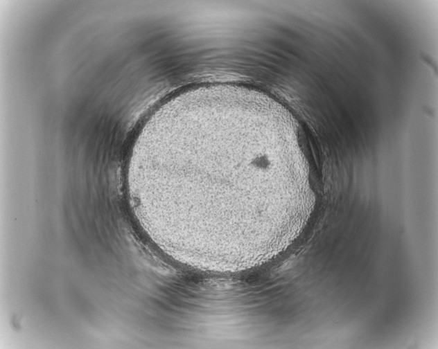 X0000100210351200806271709