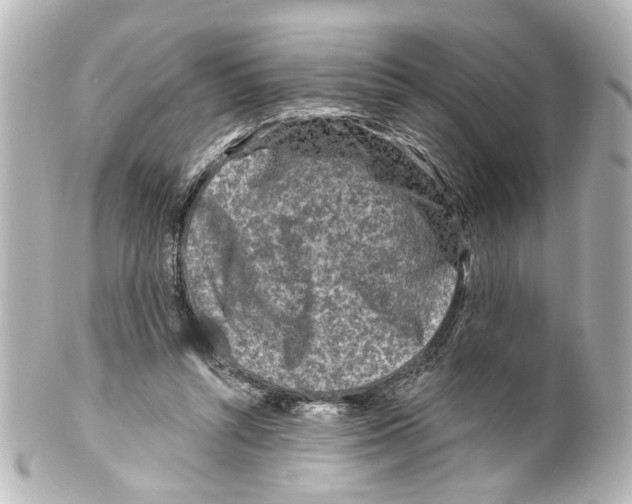 X0000100210352200806271709