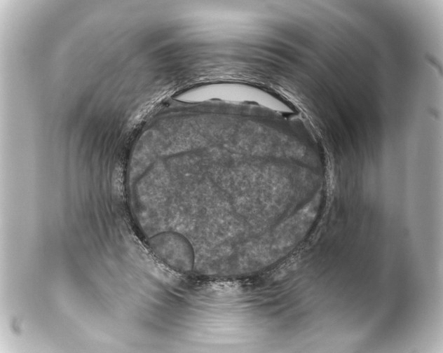 X0000100210353200806271709