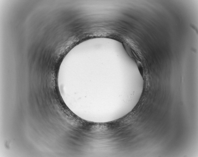 X0000100210354200806271709