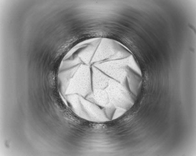 X0000100210355200806271709