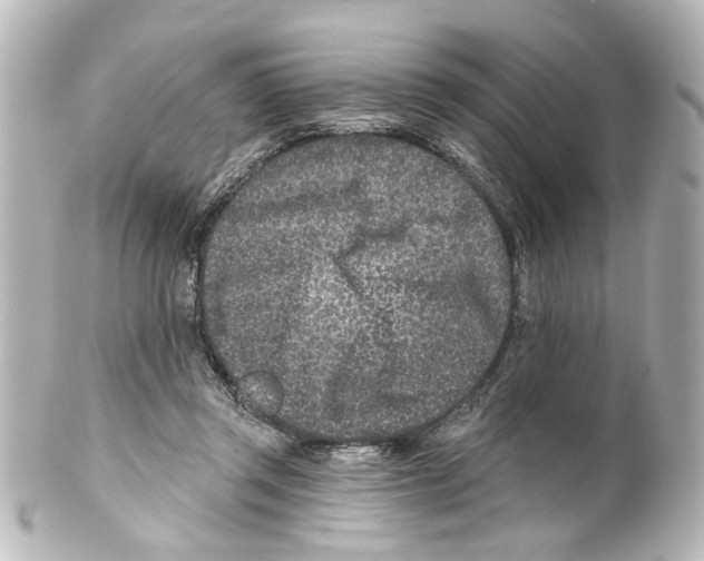 X0000100210357200806271709