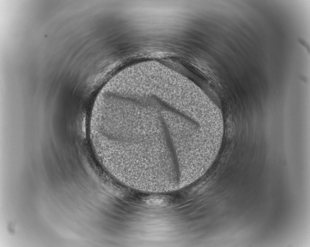 X0000100210358200806271709