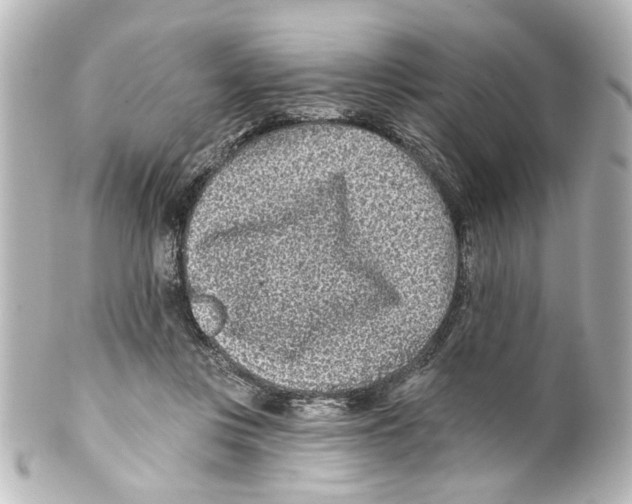 X0000100210359200806271709
