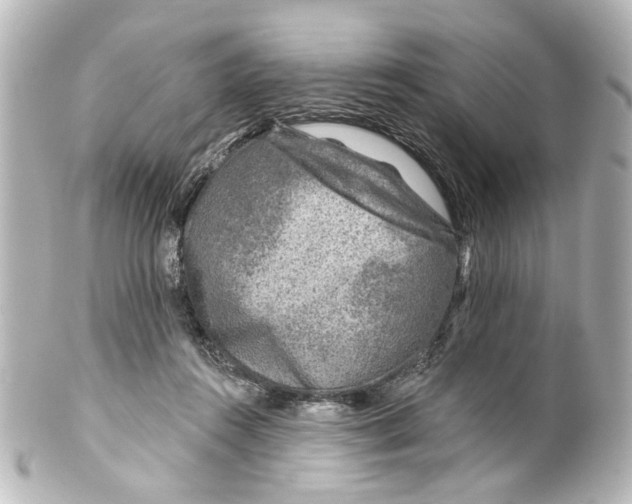 X0000100210360200806271709