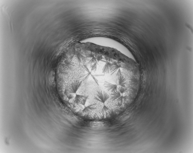 X0000100210361200806271709