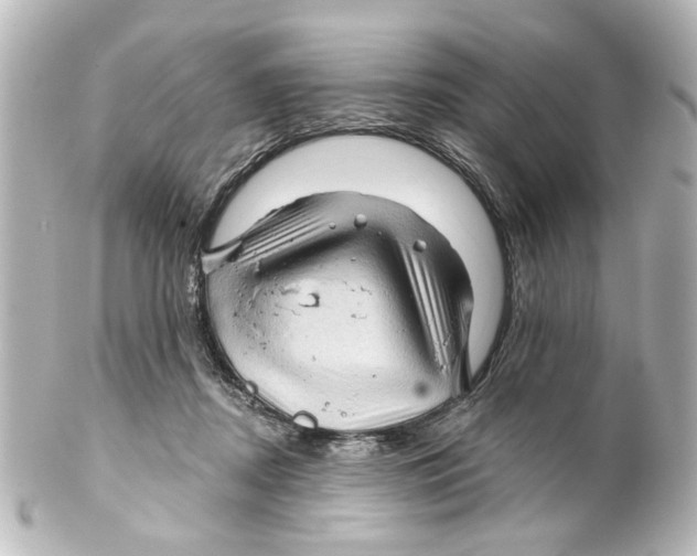 X0000100210362200806271709