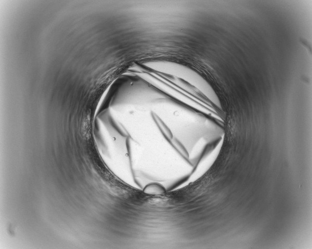 X0000100210364200806271709