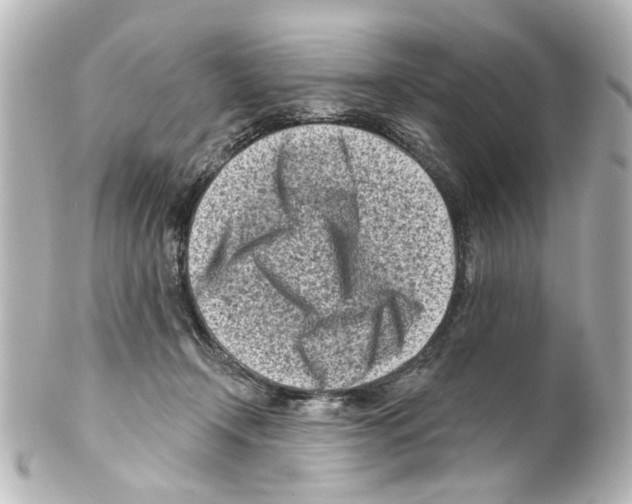 X0000100210366200806271709