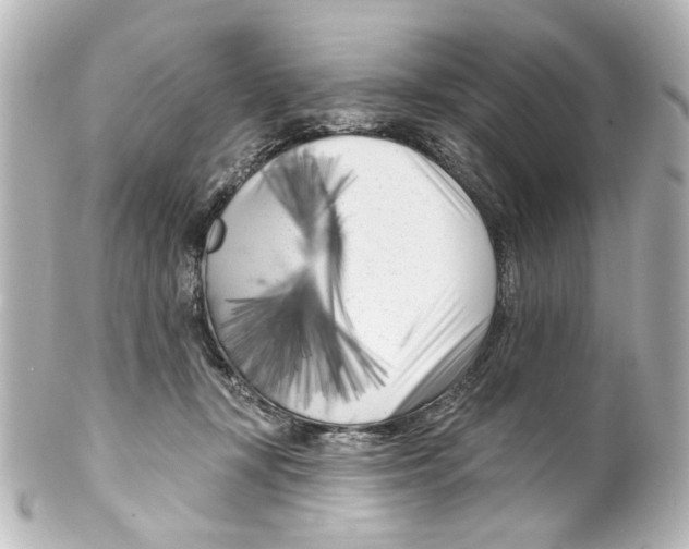 X0000100210367200806271709