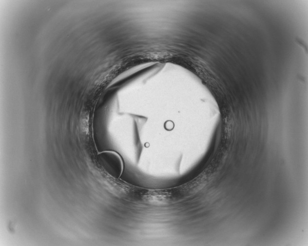 X0000100210368200806271709
