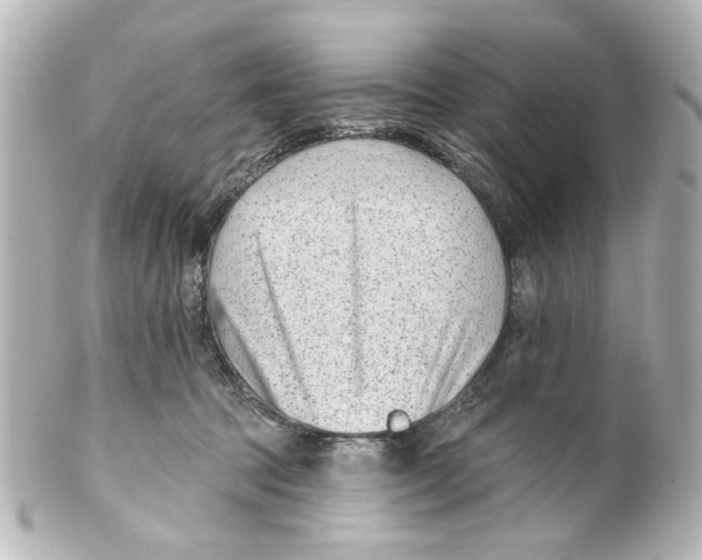 X0000100210369200806271709