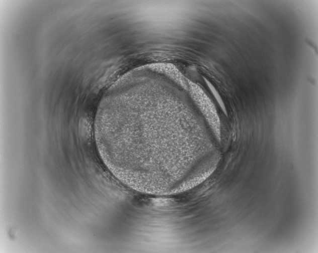 X0000100210371200806271709
