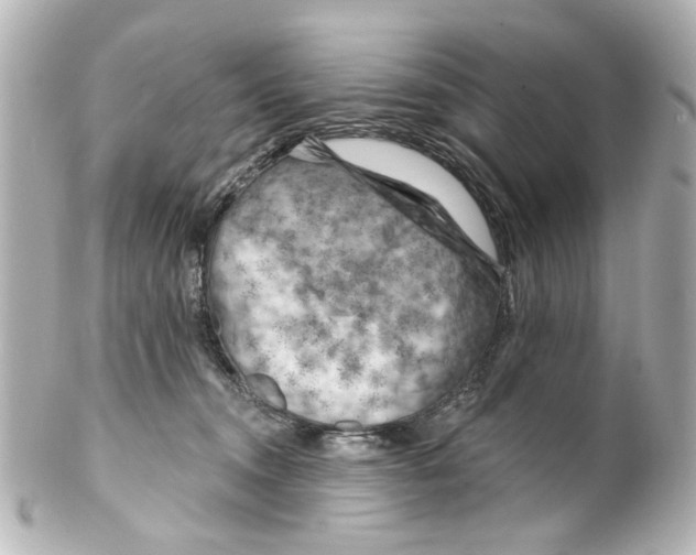 X0000100210372200806271709