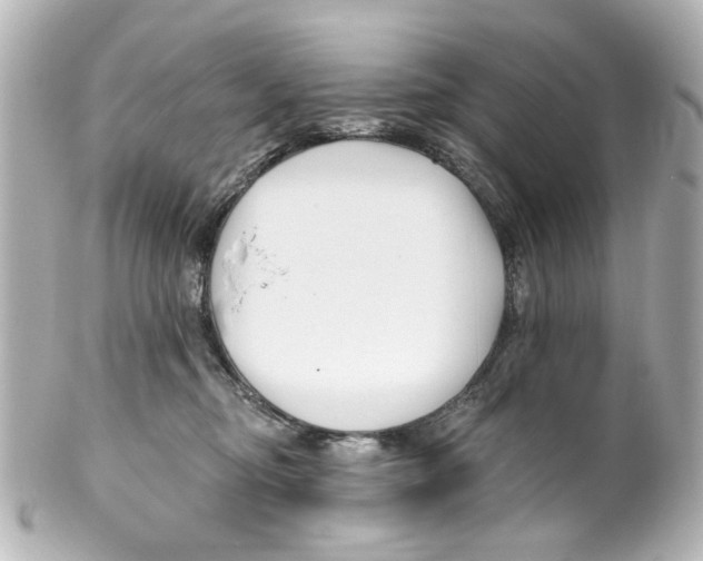 X0000100210374200806271709
