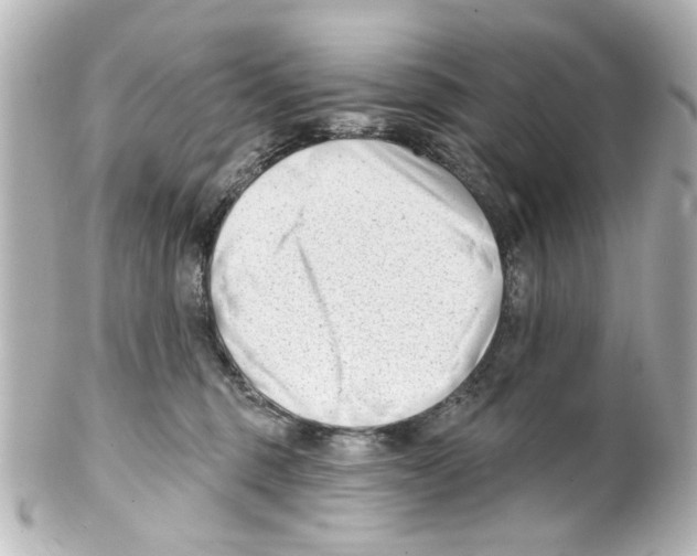 X0000100210375200806271709