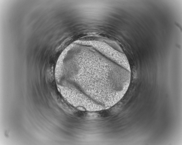 X0000100210376200806271709