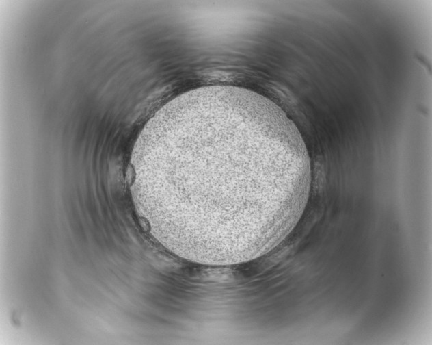 X0000100210377200806271709