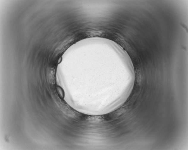X0000100210378200806271709