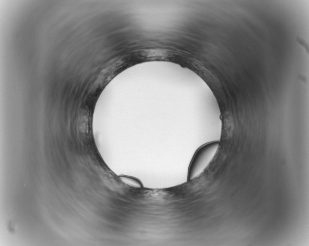 X0000100210379200806271709