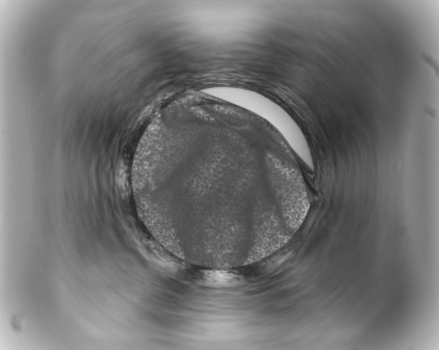 X0000100210380200806271709