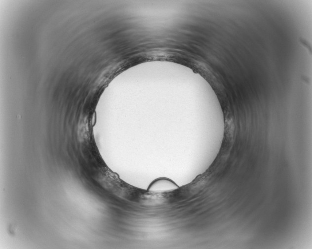 X0000100210381200806271709