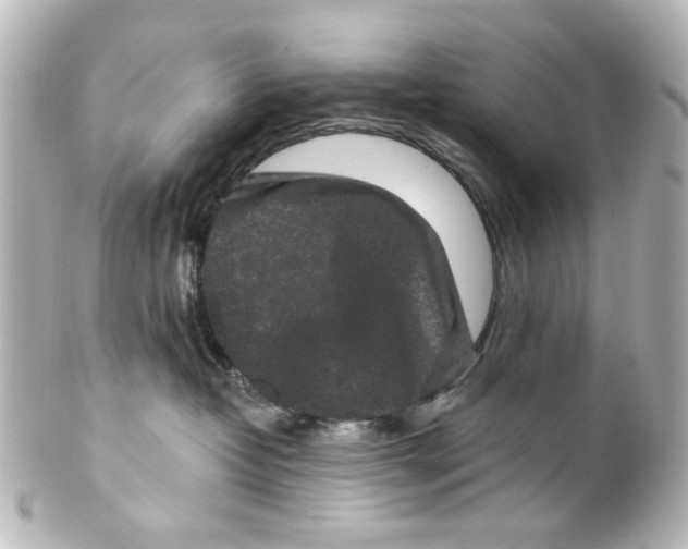X0000100210382200806271709