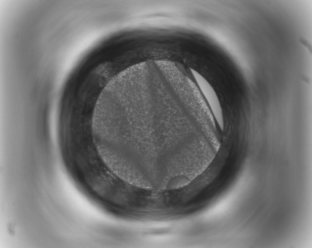 X0000100210383200806271709