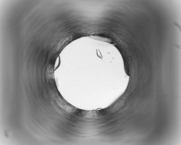 X0000100210384200806271709