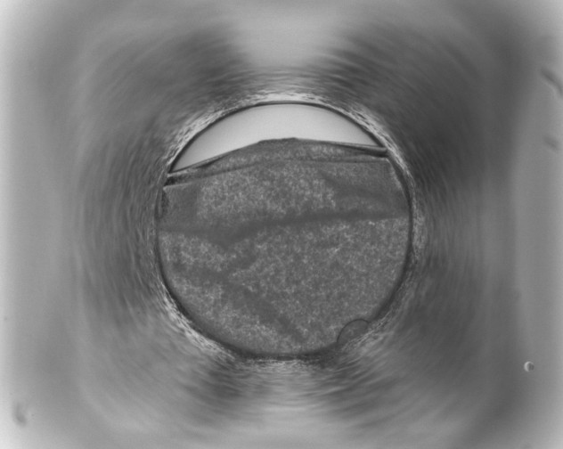 X0000100210385200806271709