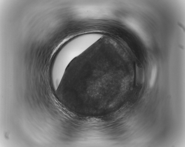 X0000100210387200806271709