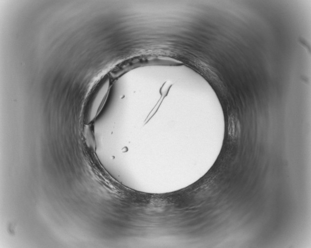 X0000100210388200806271709