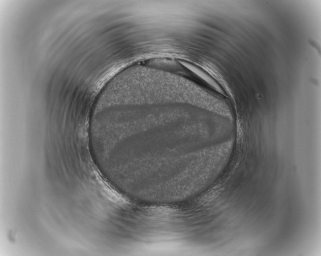 X0000100210389200806271709