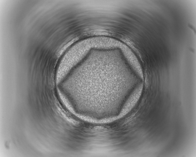 X0000100210390200806271709