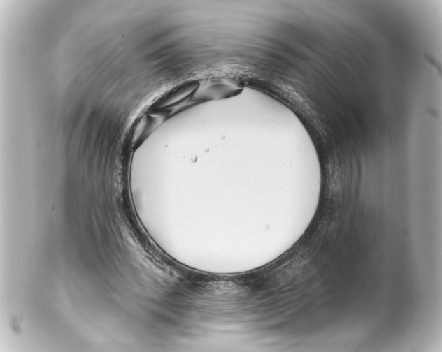X0000100210392200806271709