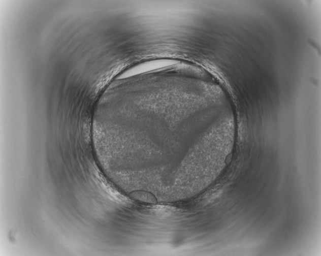 X0000100210393200806271709