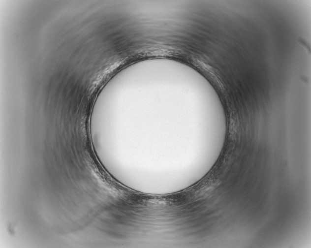 X0000100210394200806271709