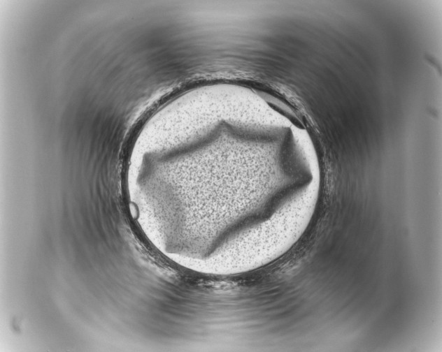X0000100210395200806271709