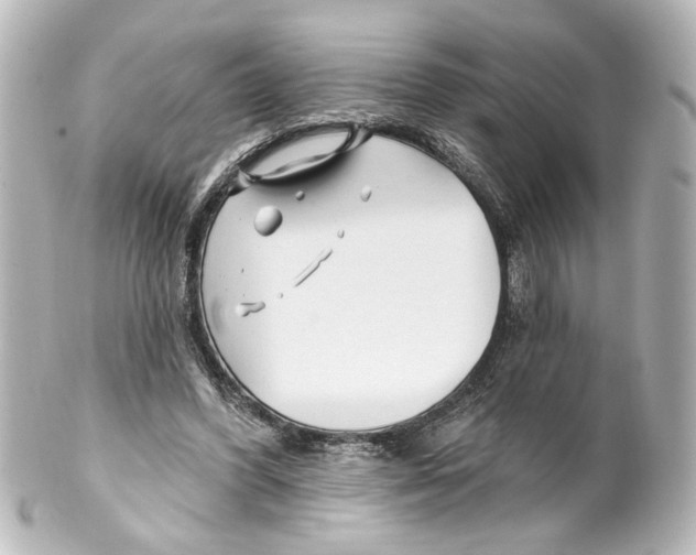 X0000100210396200806271709
