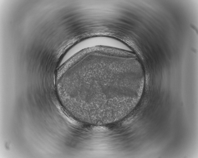 X0000100210397200806271709