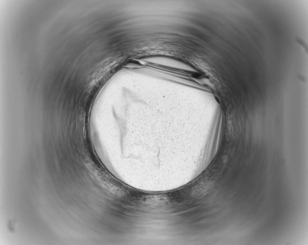 X0000100210398200806271709