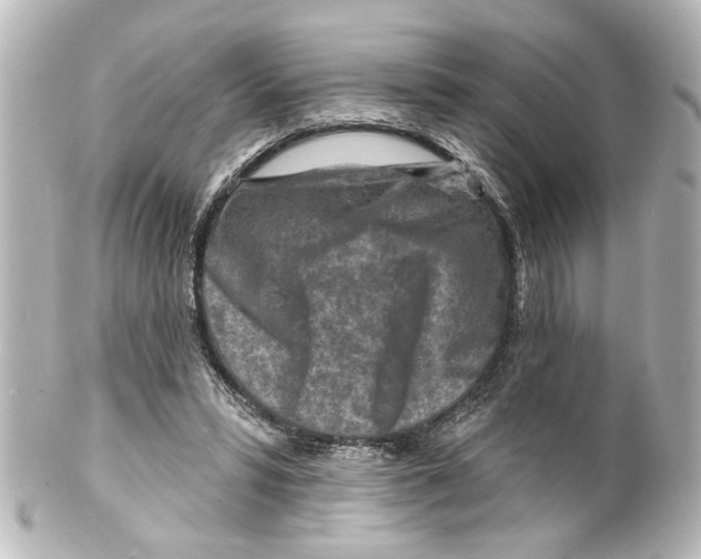 X0000100210399200806271709
