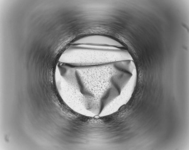 X0000100210403200806271709