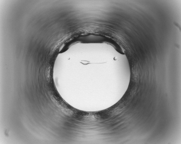 X0000100210404200806271709