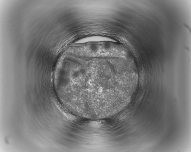 X0000100210405200806271709