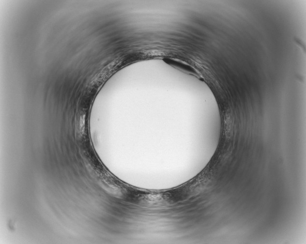 X0000100210406200806271709