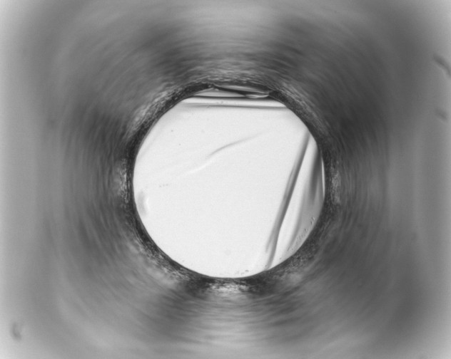 X0000100210407200806271708