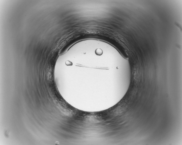 X0000100210408200806271708